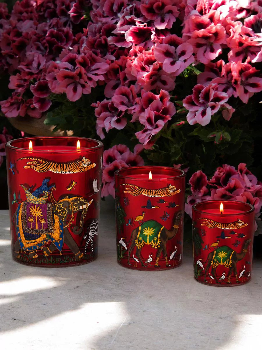 Vela de tigre de Palo Santo pequeña