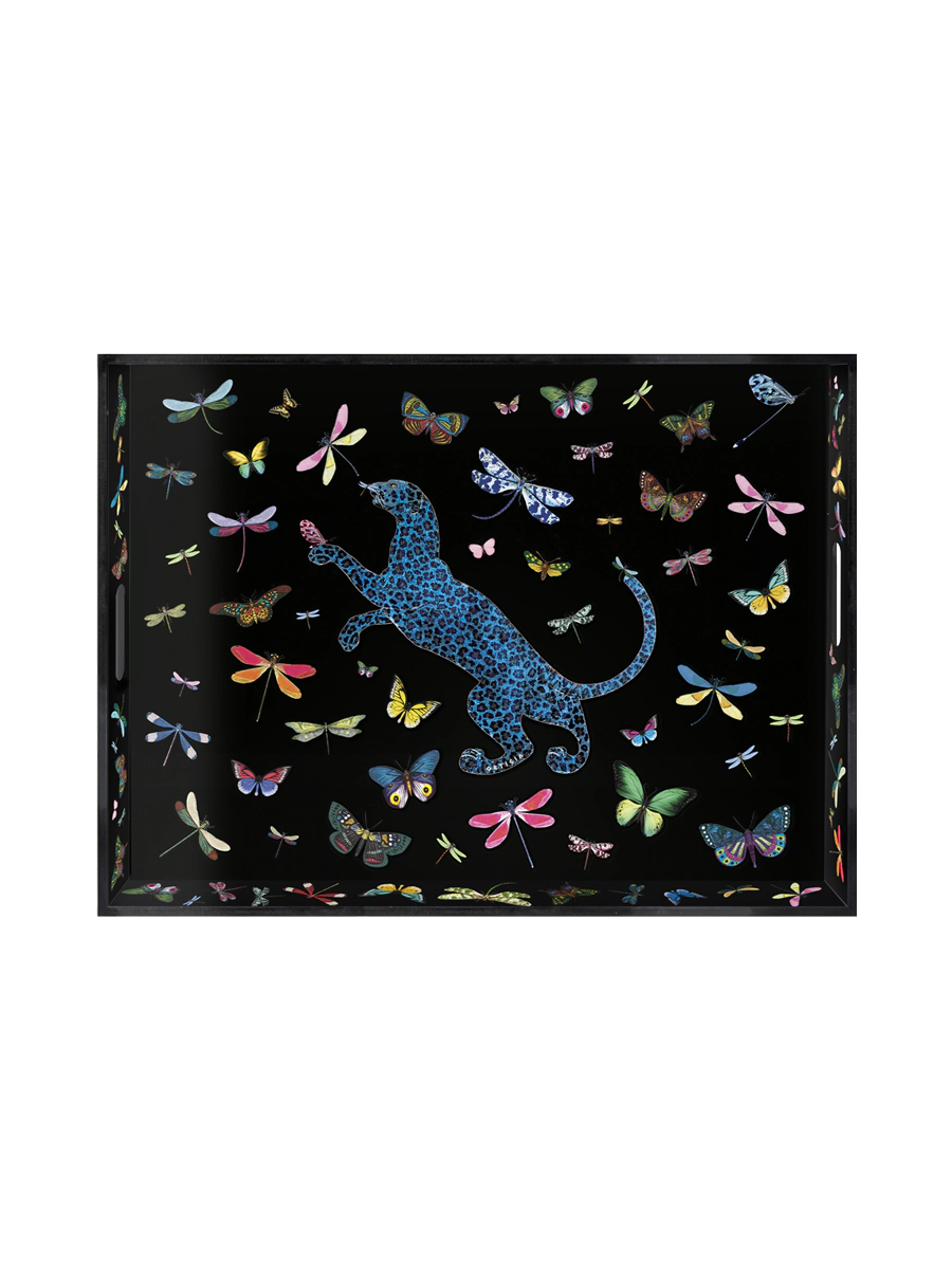 Tray Dragonflies