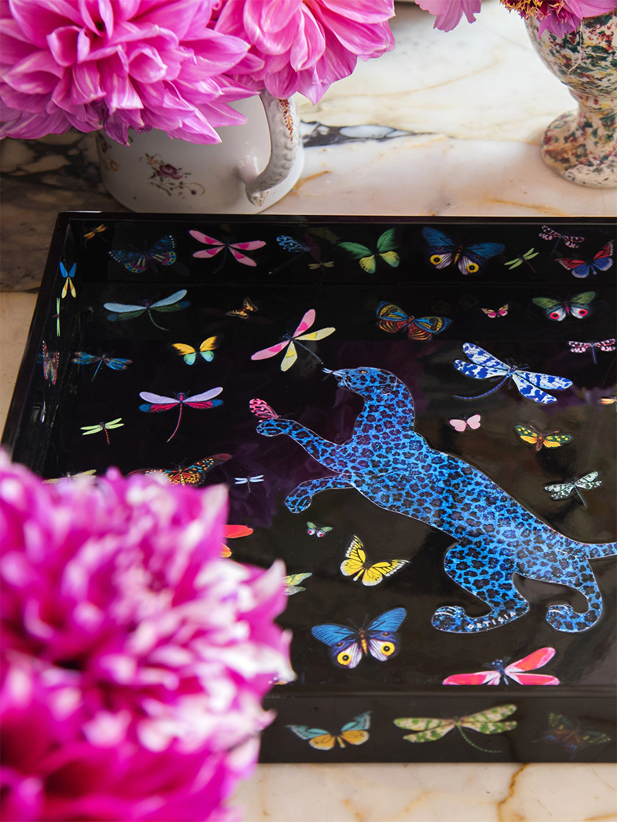 Tray Dragonflies