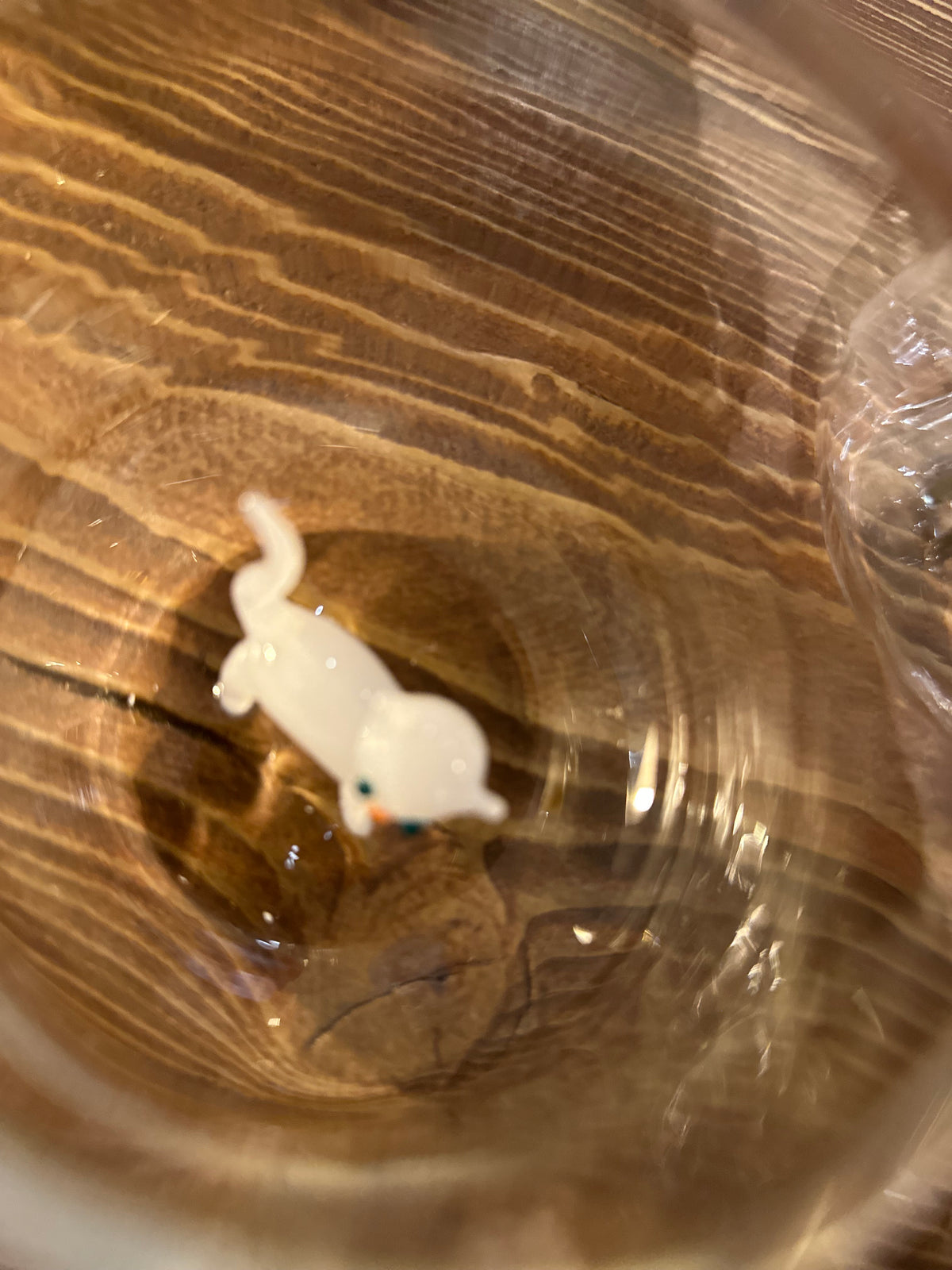 Vasos de gato