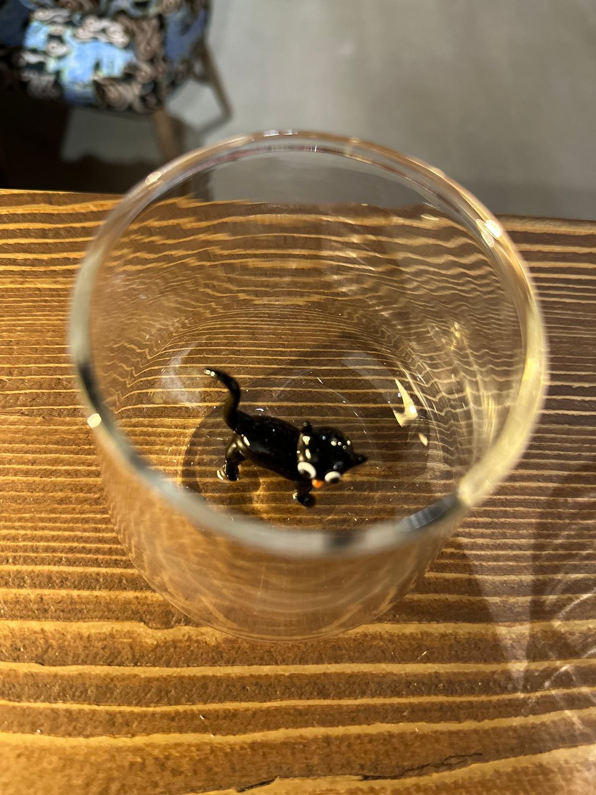 Vasos de gato