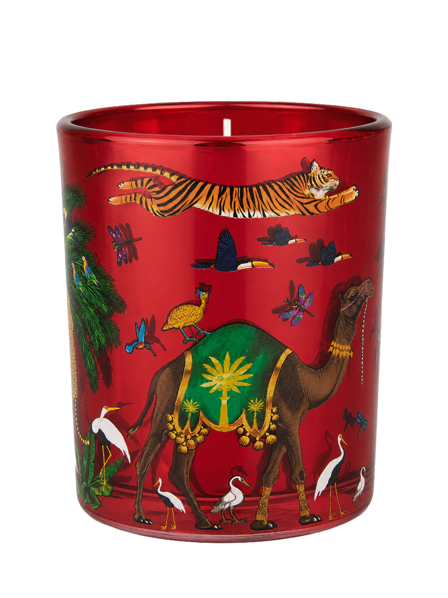 Vela de tigre de Palo Santo pequeña