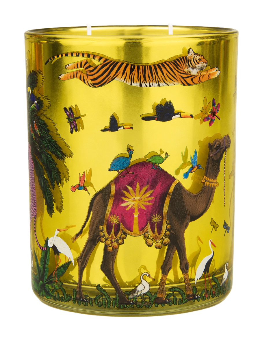 Vela Zagara Tiger Mediana