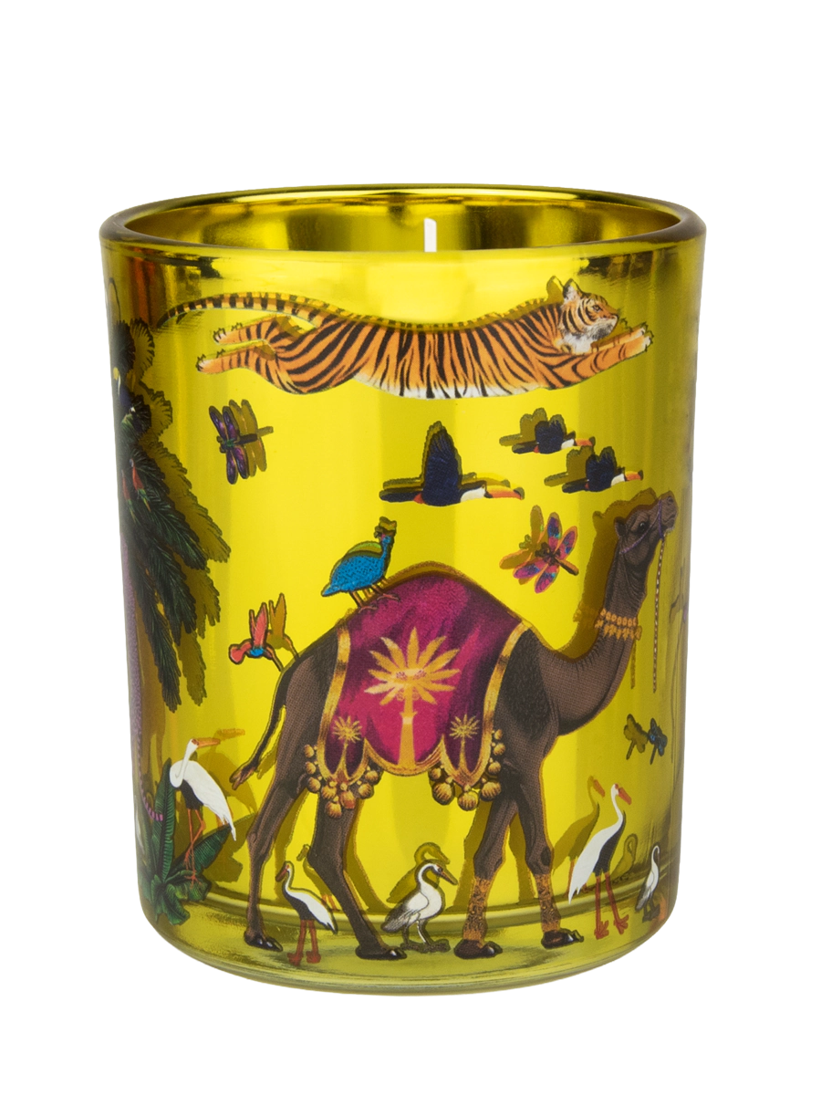 Vela de tigre Zagara pequeña