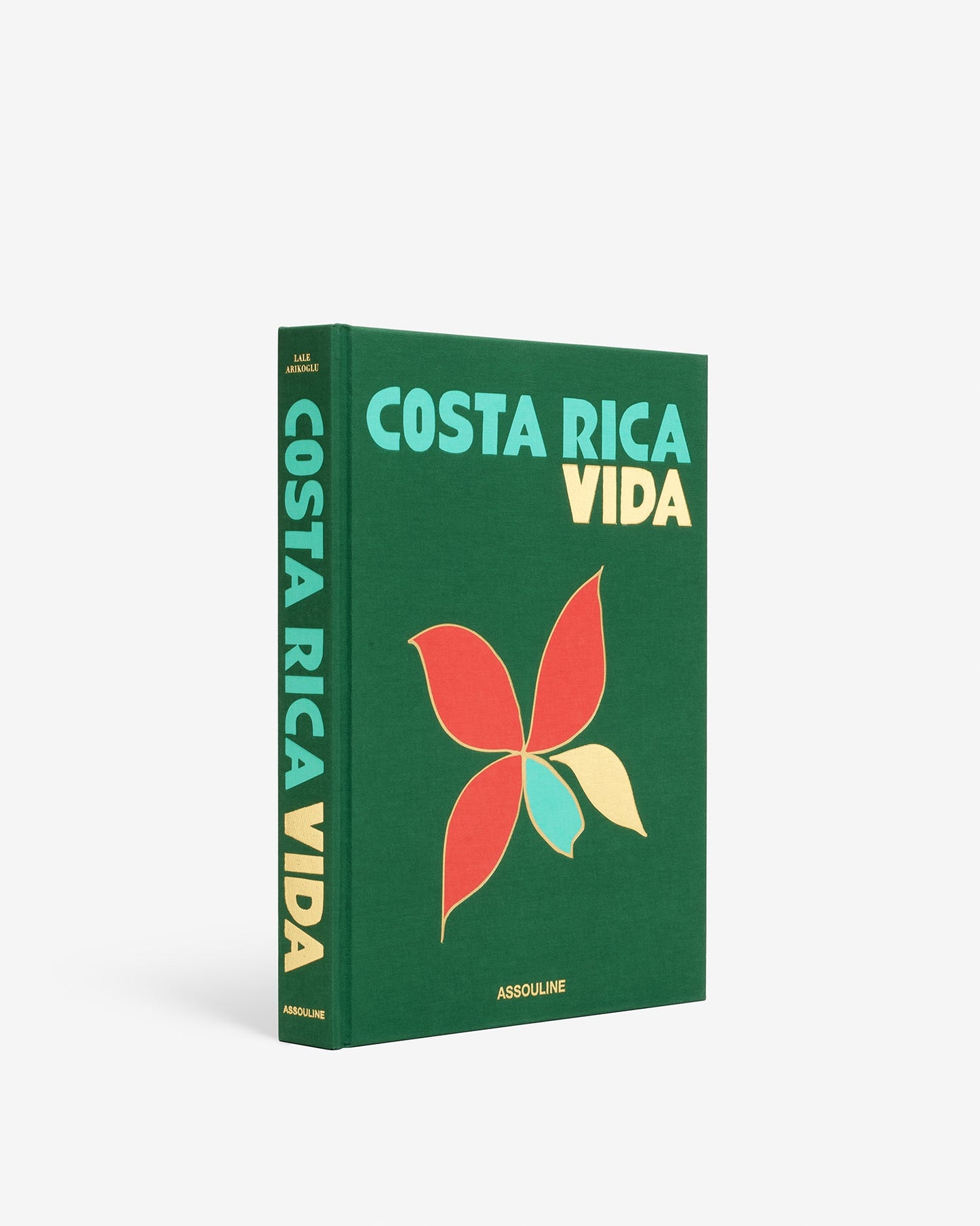 COSTA RICA VIDA